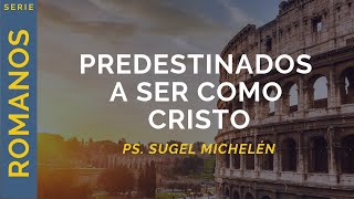 Predestinados a ser como Cristo  Romanos 82830  Ps Sugel Michelén [upl. by Annoynek134]