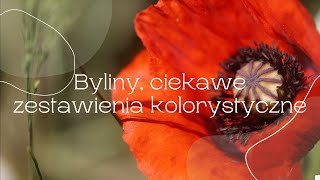 Byliny ciekawe połączenia kolorystyczne [upl. by Eillat]