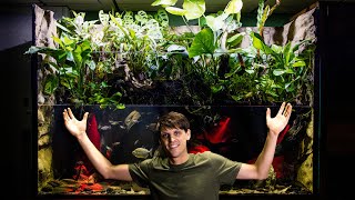 Adding Fish to The 350 Gallon Paludarium Build Part 4 [upl. by Mientao800]