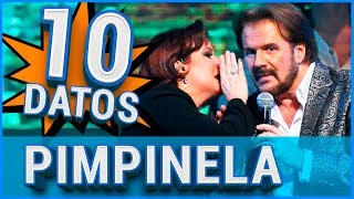 10 Curiosidades sobre PIMPINELA 😱 [upl. by Ellerol]