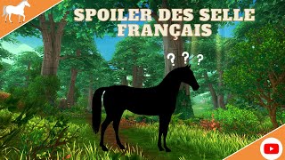 STAR STABLE SPOILER DES SELLE FRANCAIS  Cette vidéos Vien de CC CREATIONS [upl. by Saleme673]