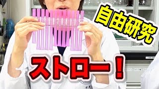 【簡単】ストローを使った凄い自由研究！  米村でんじろう公式science experiments [upl. by Itra371]