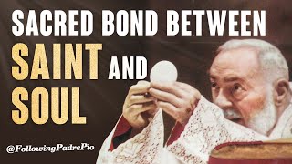 St Padre Pio and His Spiritual Daughters A Sacred Bond Inspirational Story from Catholic Saints [upl. by Cassius]