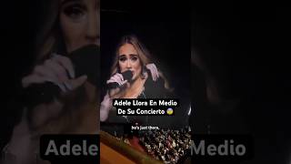 Fan Hace Adele LLORAR En Medio Del Concierto… [upl. by Ativahs25]