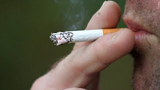 FDA Says Menthol Cigarettes More Harmful [upl. by Sualocin756]