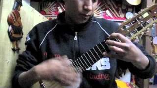 Fantastic Charango Playing in La Paz Bolivia in Local Music Store [upl. by Annawd]