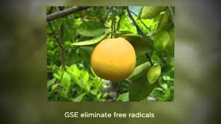 Medicinal Uses of Grapefruit Seed Extract [upl. by Naitsirt237]