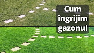 Intretinere gazon primavara  Ingrijirea gazonului [upl. by Derwon]