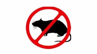 Mouse amp Rat Ultrasonic Deterrent  Cat sounds to scare mice away Rat distress call  Sound Mice Hate [upl. by Khalid445]