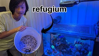 Adding a new DIY refugium to our reef tank [upl. by Merna]