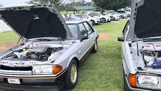 XD Fairmont Ghia amp XE ESP Sydney cars amp coffee Huburtus club Luddenham January 2024 [upl. by Barbour]