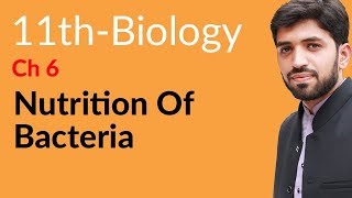 FSc Biology Book 1 Ch 6  Nutrition of Bacteria  11th Class Biology [upl. by Norval]