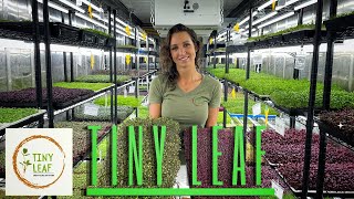 How to microgreen farm a must watch TINY LEAF FARM  S1 E1 [upl. by Petta]