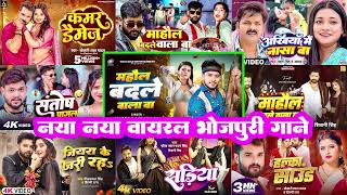 माहौल बदले वाला बा 🔥Golu Gold  Ritesh Pandey  Nonstop Bhojpuri Song  Kamar Kare Lach  Sadiy [upl. by Eniroc]