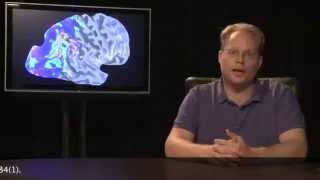 2Minute Neuroscience Motor Cortex [upl. by Martynne]