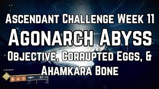 Destiny 2  Ascendant Challenge Week 11 Agonarch Abyss Objective Corrputed Eggs amp Ahamkara Bone [upl. by Kinsman190]