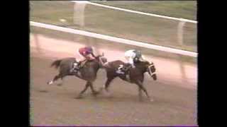 Horse Racing The Matron 1995 Belmont Park Golden Attraction [upl. by Nolita]