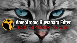 Anisotropic Kuwahara Filter for Painterly Looks in Nuke [upl. by Pricilla801]