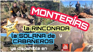 MONTERIAS RINCONADA y SOLANA de CABAÑEROS Alcoba El vídeo con más lances de caza hasta la fecha [upl. by Adnolehs]