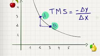 5 La courbe d’indifférence et le TMS [upl. by Ekenna]