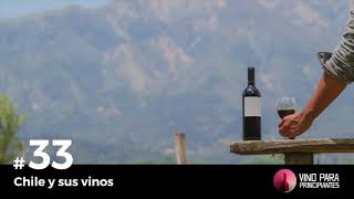 Episodio 33  Chile y sus vinos  Vino Para Principiantes [upl. by Cherish]