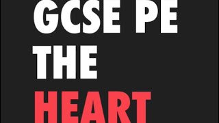 Gcse Pe 5 a day revision vol 15 The heart [upl. by Aicrop616]