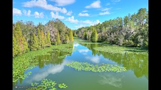 North Prong Secluded River Retreat Lithia FL [upl. by Atteinotna]