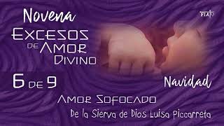 6 de 9 I Novena Excesos de Amor Divino I Divina Voluntad I Navidad I Luisa Piccarreta [upl. by Euqinwahs]