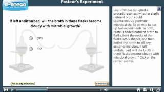 pasteurs experimentfor Educational Use [upl. by Laaspere]