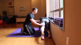 Transverse Abdominis and Gluteus Maximus Activation Progressions [upl. by Placeeda811]