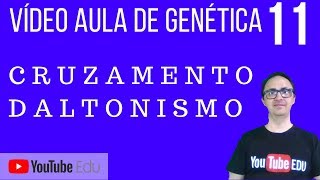 Vídeo Aula de Genética 11  Cruzando daltonismo [upl. by Japheth961]