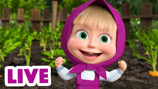 🔴 LIVE STREAM माशा एंड द बेयर 🧹👧 आपकी सेवा में✨ Masha and the Bear [upl. by Sheepshanks]