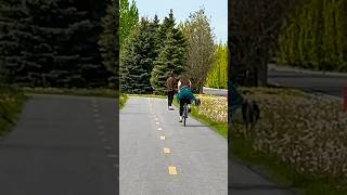 Look how happy they are😄🛹🐕🚴‍♀️ relaxing nature exercise canada quebec montreal [upl. by Aihseuqram]