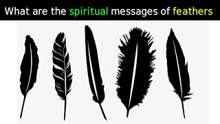 Quels sont les messages spirituels des plumes  interpretation des reves [upl. by Klump]