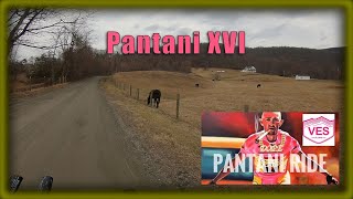 Pantani Gravel Ride 2022  Virginia Endurance Series [upl. by Bixby]