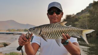 Fishing for Mahseer near Bangalore in WASI waters [upl. by Oicinoid450]