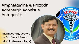 Amphetamine amp Prazocin  Adrenergic agonist amp Antagonist  Pharmacology lecture [upl. by Etnemelc]