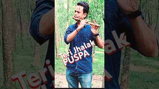 Teri Jhalak quotPUSPAquot Srivalli Flute music। SUDEB BORMON flutemusic Flute shorts shortvideo [upl. by Awahsoj]