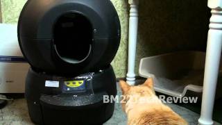 LitterRobot II Review Day 1 [upl. by Anaer]