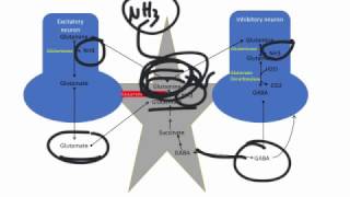 Hepatic Encephalopathy Pathogenesis and Treatment [upl. by Nathalie]