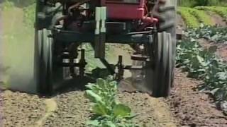 Sweeps from Vegetable Farmers and their Weed Control Machines [upl. by Sobmalarah]