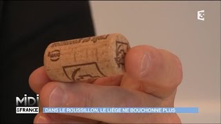 Dans le Roussillon le liège ne bouchonne pas [upl. by Nnad]