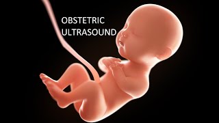 OBSTETRIC ULTRASOUND  MORPHOLOGY SCAN AND SECOND TRIMESTER [upl. by Nels395]