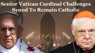 Senior Vatican Cardinal Challenges Synod To Remain Catholic [upl. by Barnard]