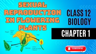 Class 12th BIOLOGY  CHAPTER 1  Sexual Reproduction in flowering plants  ONE SHOT std12biology [upl. by Anahsat]