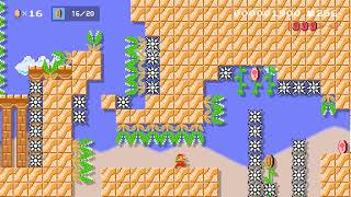 Stranded in the Desert by fraxxer 🍄Super Mario Maker 2 ✹Switch✹ No Commentary cra [upl. by Bauske185]