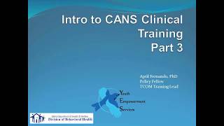 CANS Clinician Training Part 3 [upl. by Gianna]