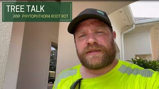 Tree Talk Phytophthora Root Rot [upl. by Penn]