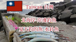 （第73集）Taiwan 台灣釣魚樂日本料理店食材高級魚沙優力（水針魚） [upl. by Greenberg]