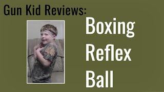 Boxing Reflex Ball Review [upl. by Nannek365]